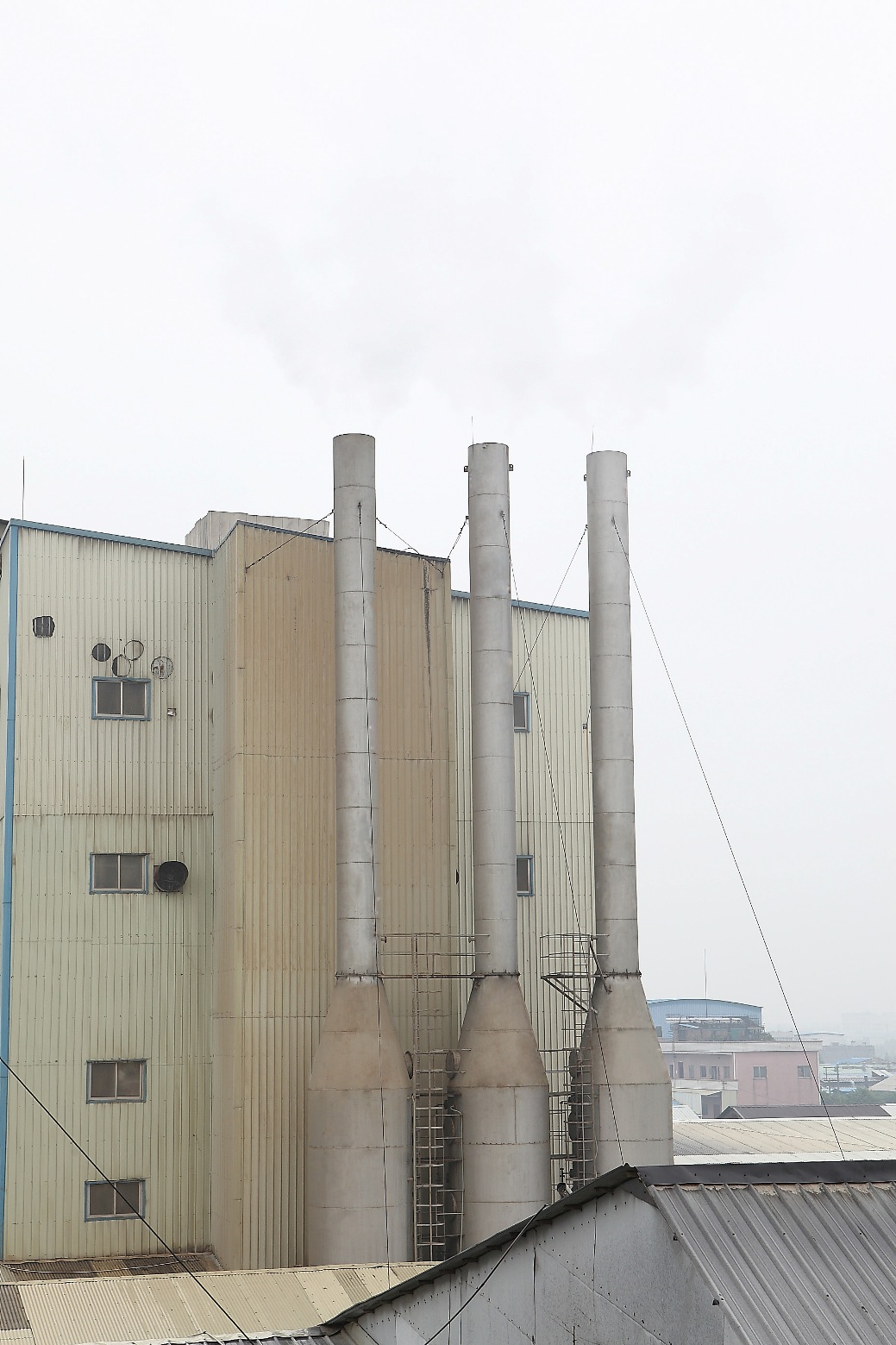 广东旺海饲料实业有限公司